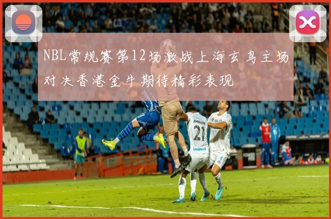NBL常规赛第12场激战上海玄鸟主场对决香港金牛期待精彩表现