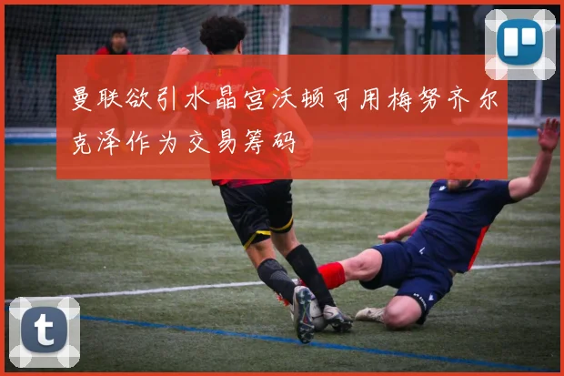 曼联欲引水晶宫沃顿可用梅努齐尔克泽作为交易筹码